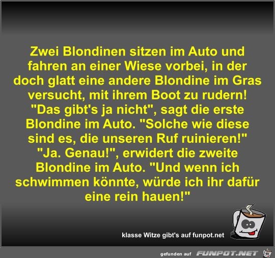 Zwei Blondinen sitzen im Auto und fahren an einer Wiese...