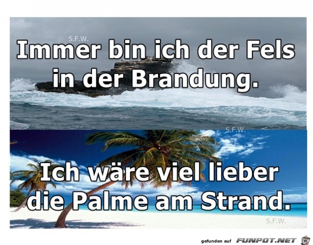 Brandung Palme Brandung Palme