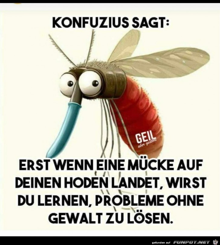 Eine Mücke Eine Mücke