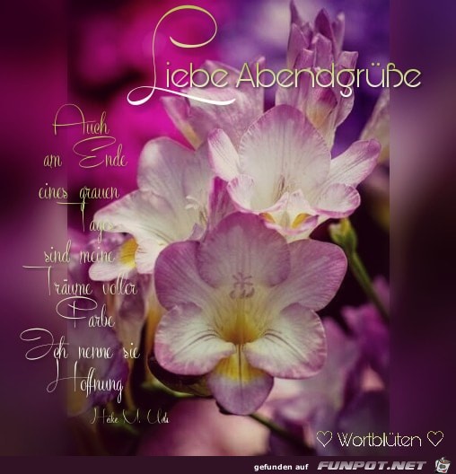 Liebe Abendgruesse Liebe Abendgruesse