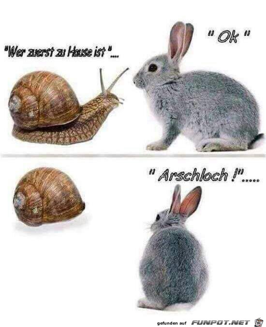 Ausgetrickst Ausgetrickst
