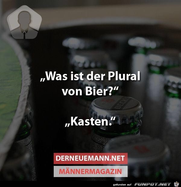 Plural von Bier