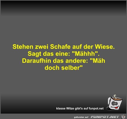 Stehen zwei Schafe auf der Wiese Stehen zwei Schafe auf der Wiese