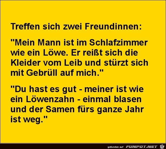 treffen sich zwei Freundinnen.. treffen sich zwei Freundinnen..
