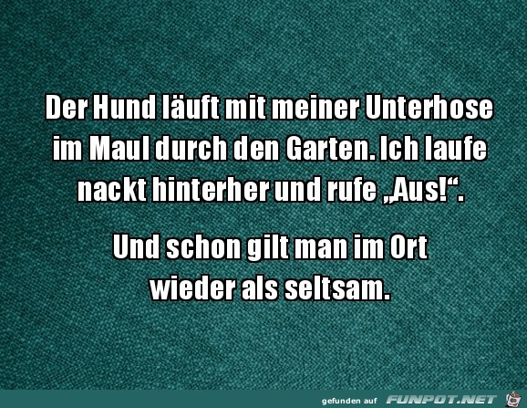 Irgendwas ist eben immer Irgendwas ist eben immer