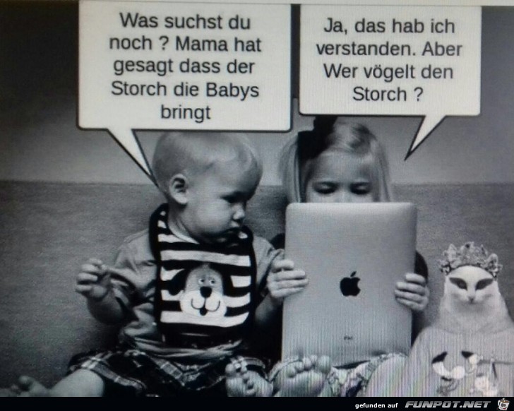 Der Storch bringt die Babys Der Storch bringt die Babys