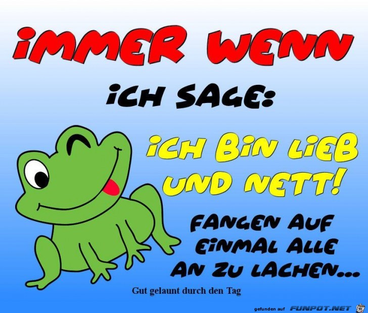 Immer wenn ich sag Immer wenn ich sag