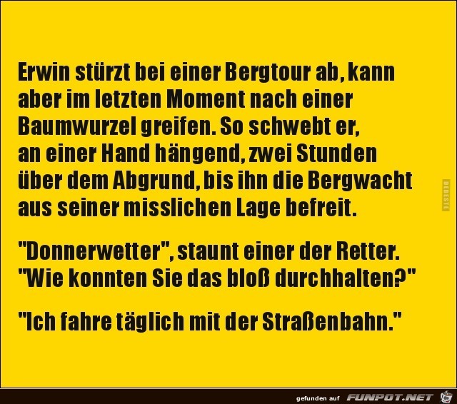 Erwin strzt bei einer Bergtour ab......