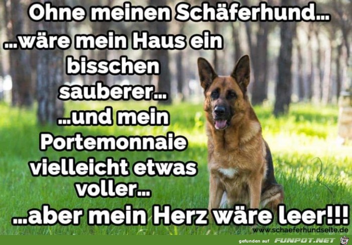 ohne meinen Schferhund.....