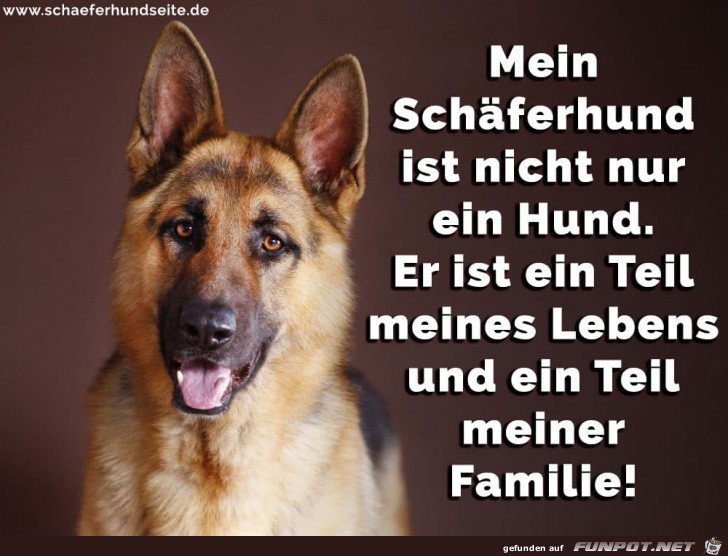 er ist nicht nur ein Hund.....