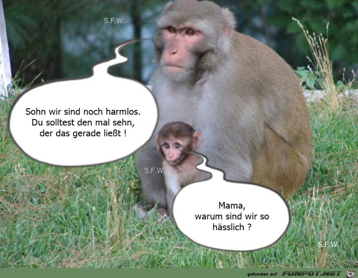 witzige Bilder aus verschiedenen Blogs