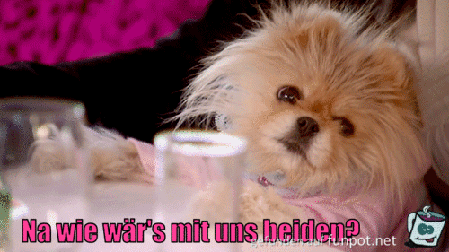 wie wärs wie wärs