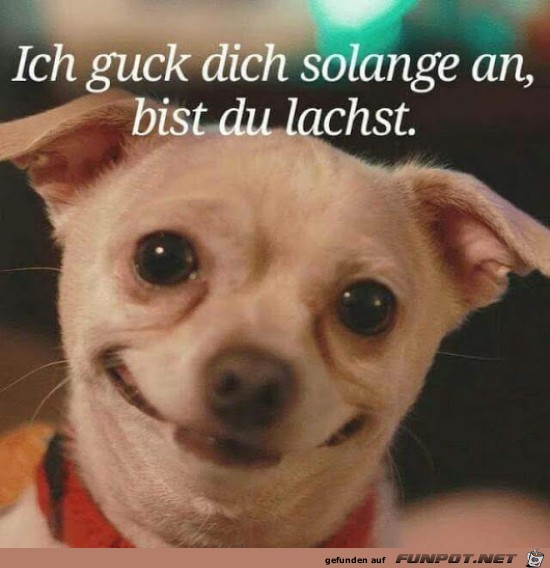 ich guck dich solange an....