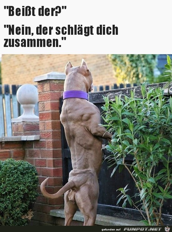 So ist es So ist es