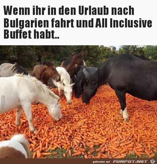 All inclusive All inclusive