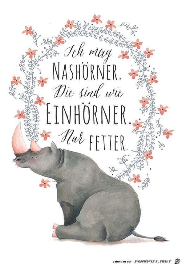 ich mag nashoerner ich mag nashoerner