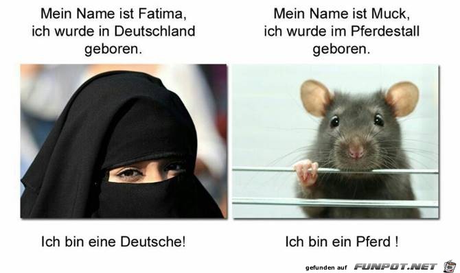 Ich bin Deutsche Ich bin Deutsche