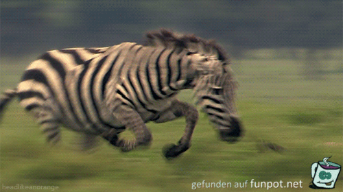 Mal andersrum Mal andersrum