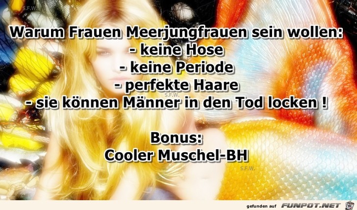 Warum Frauen Meerjungfrauen Warum Frauen Meerjungfrauen