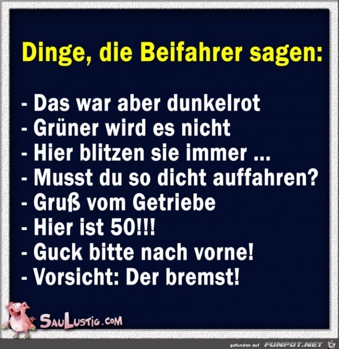 Dinge-die-Beifahrer-sagen Dinge-die-Beifahrer-sagen