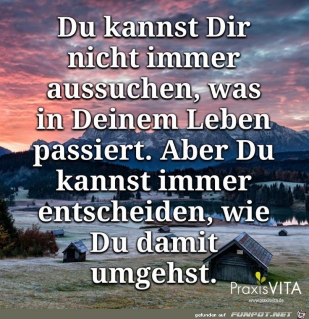 aber du kannst entscheiden...... aber du kannst entscheiden......