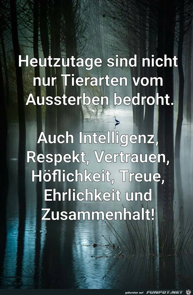 Heutzutage sind nicht nur Tierarten Heutzutage sind nicht nur Tierarten