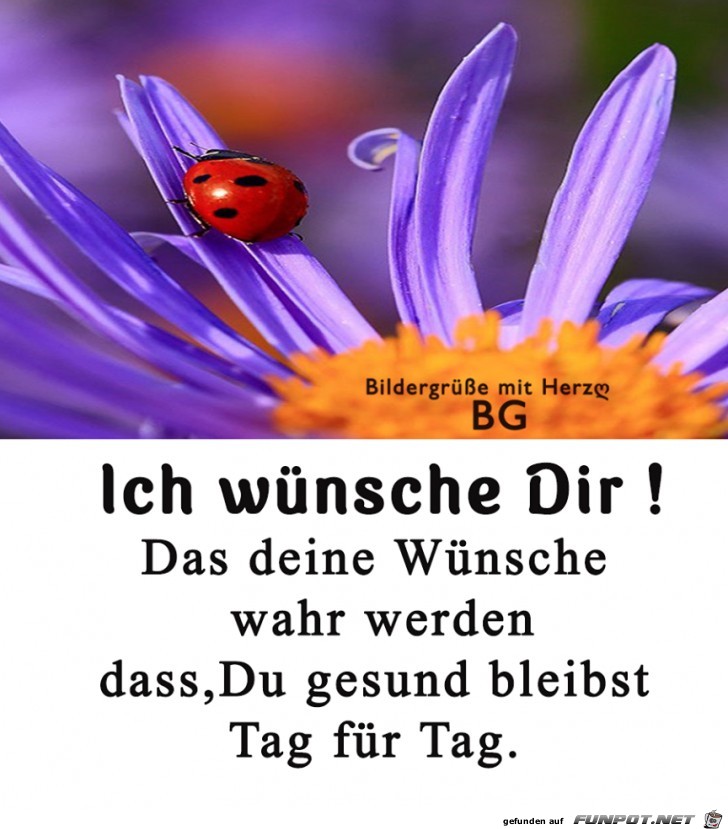 Wuensche dir Wuensche dir