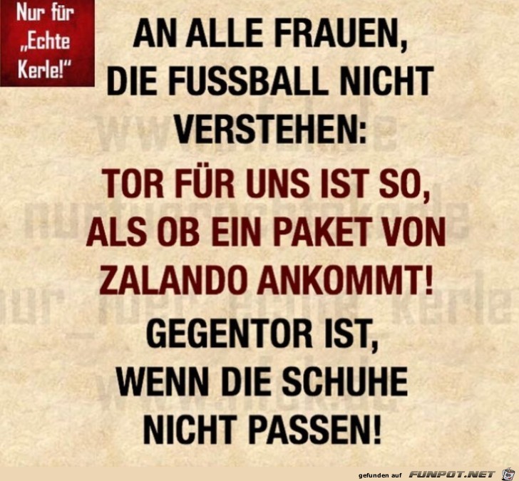 An alle Frauen, die Fuball nicht verstehen...