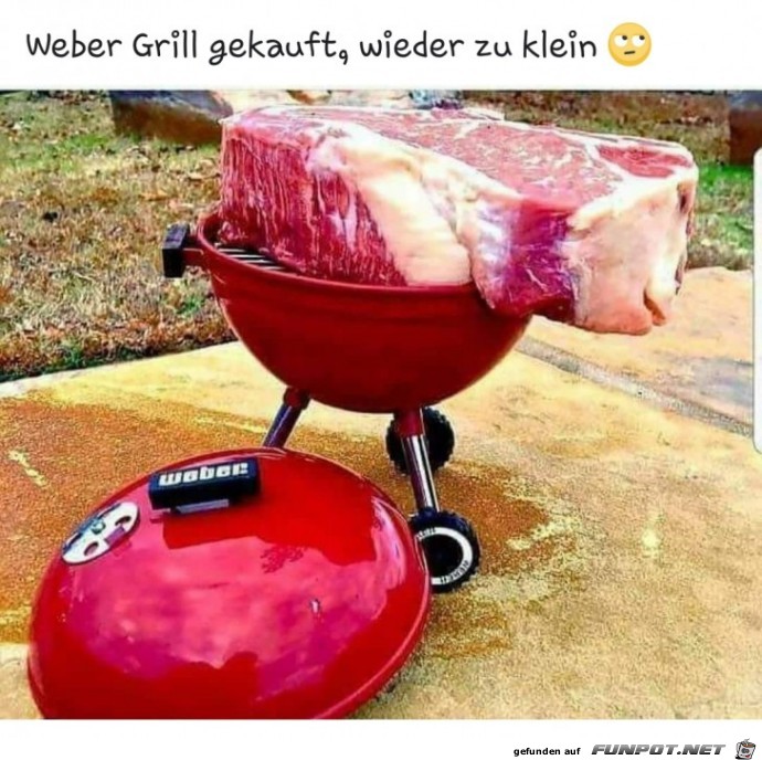 Weber-Grill gekauft...