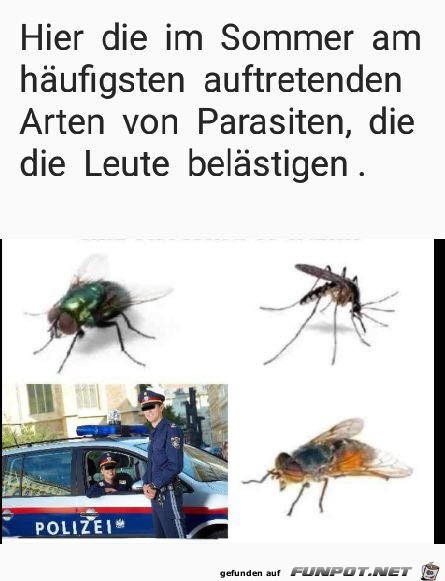 Parasiten Parasiten