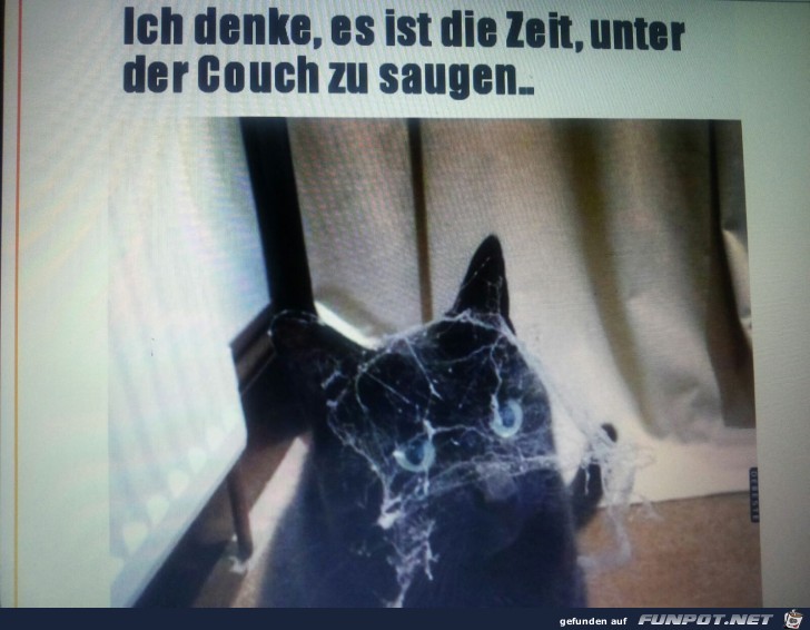 Ich denke es ist an der Zeit unter der Couch zu saugen... Ich denke es ist an der Zeit unter der Couch zu saugen...