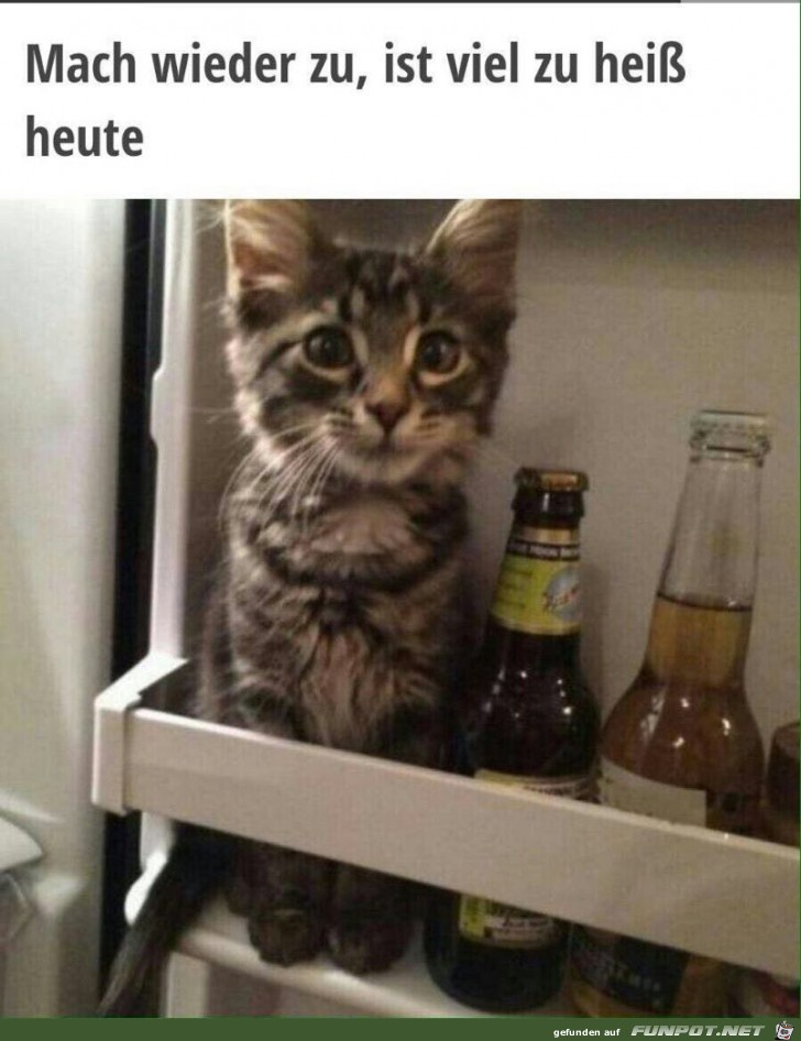 Mach wieder zu... Mach wieder zu...
