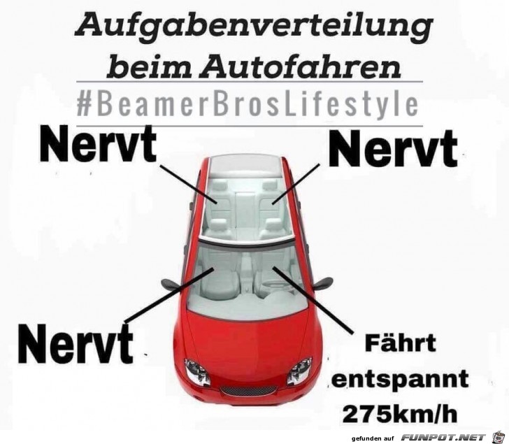 Aufgabenverteilung beim Autofahren