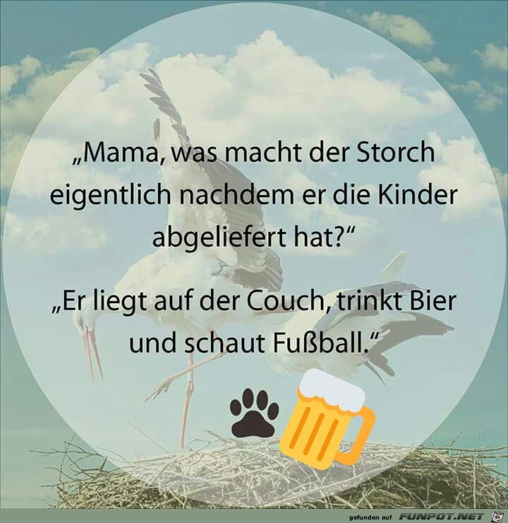 Der Storch Der Storch