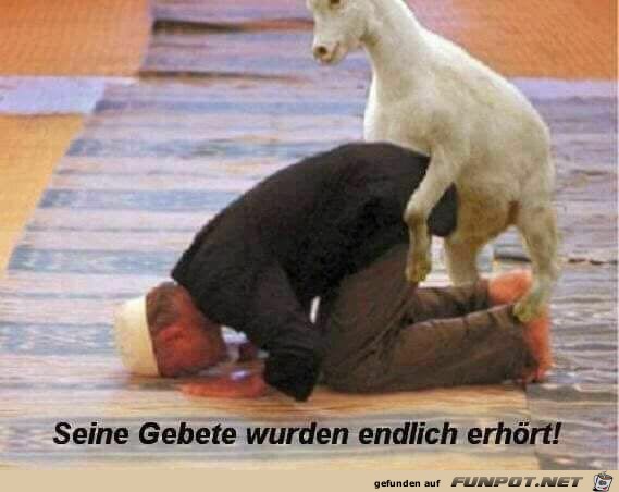 Seine Gebete wurden endlich erhört Seine Gebete wurden endlich erhört
