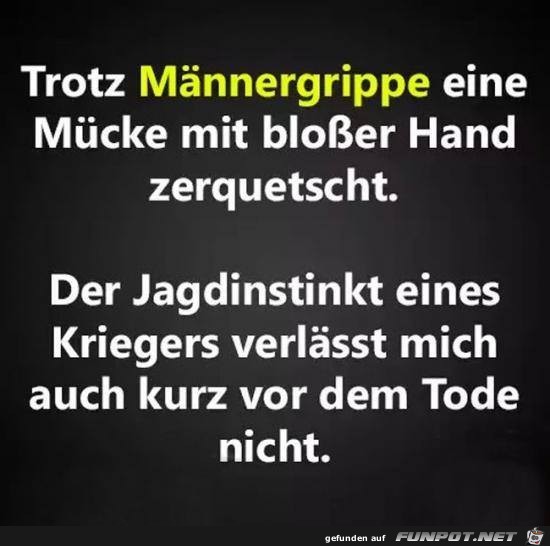 Männergrippe Männergrippe