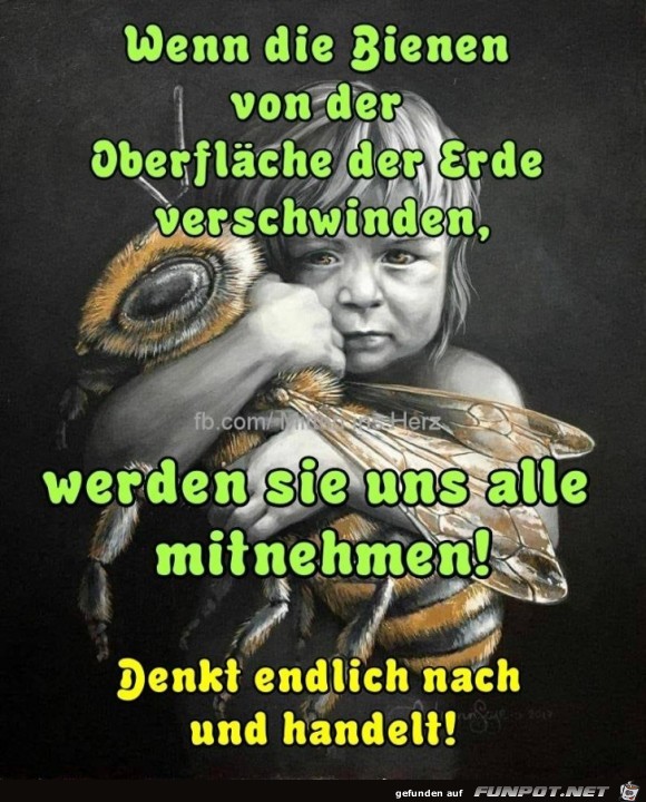 Wenn die Bienen von der Erde verschwinden