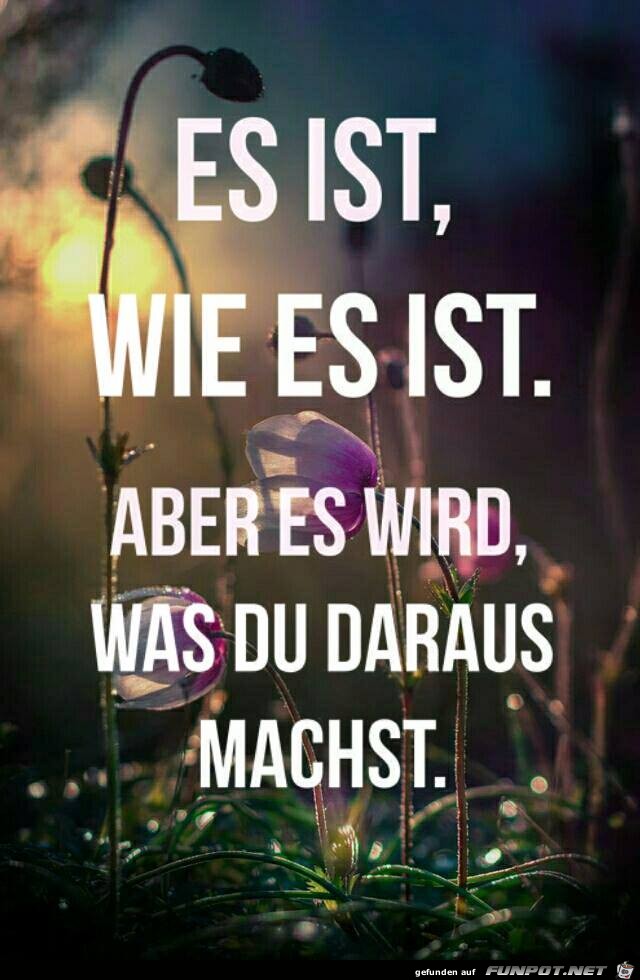 Es ist wie es ist