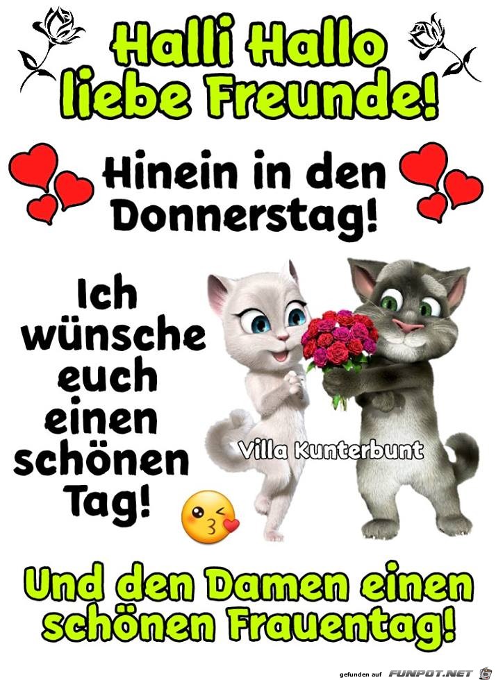 Halli Hallo liebe Freunde Halli Hallo liebe Freunde