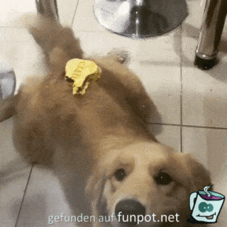 Gemein Gemein