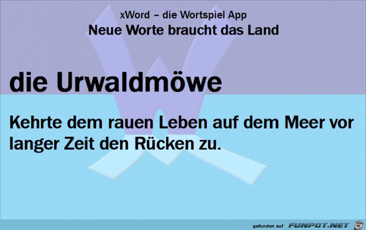 Neue-Worte-Urwaldmoeve