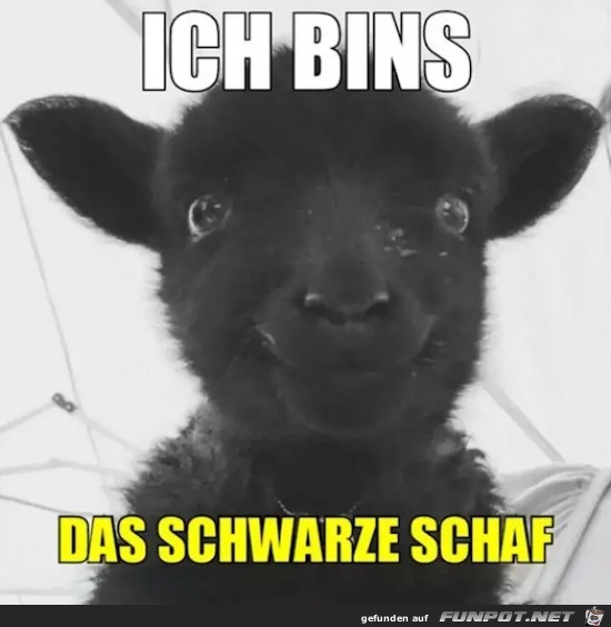 Ich bins Ich bins