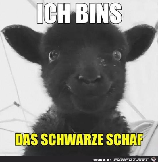 Ich bins