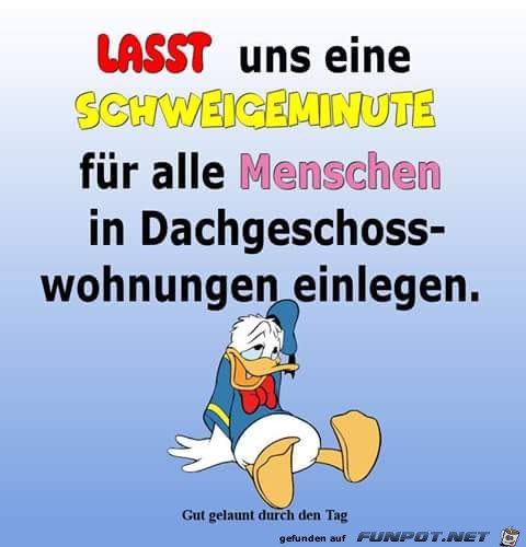 Dachgeschoss-Wohnungen