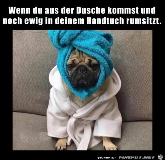 Geduscht Geduscht