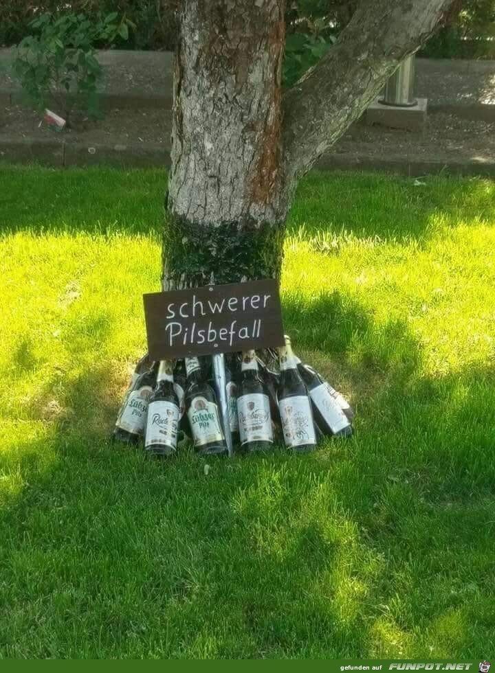 Pilsbefall Pilsbefall