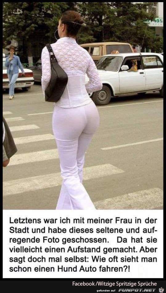 Foto Foto