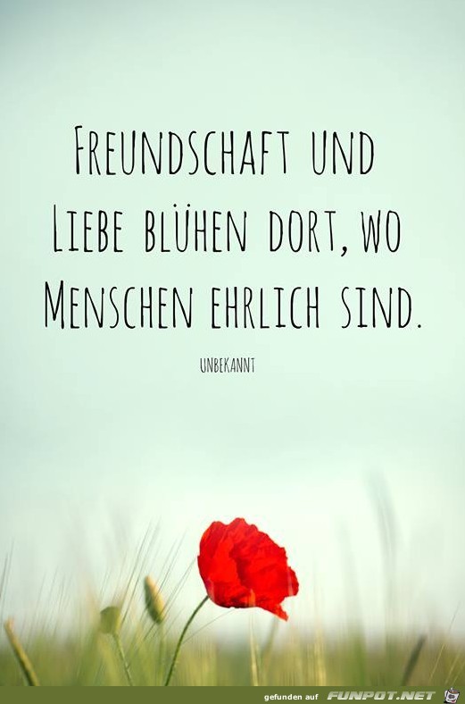 Freundschaft und Liebe