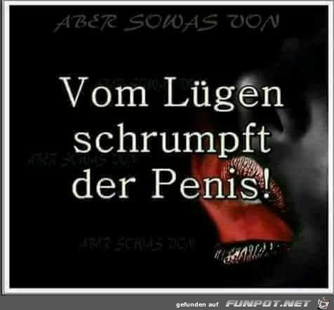 Vom Lügen... Vom Lügen...