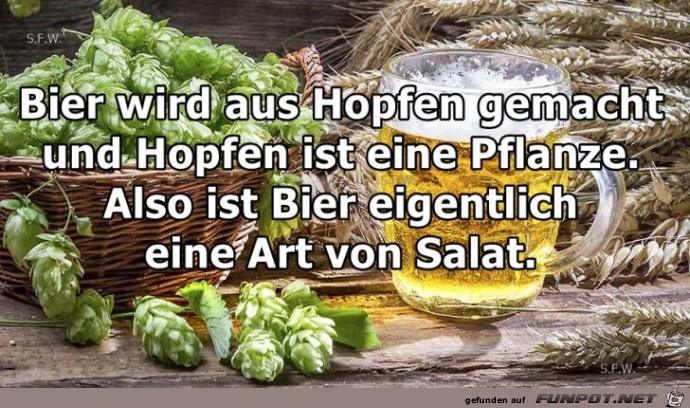 Bier wird aus Hopfen gemacht